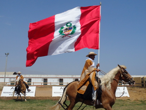 Peruvian Step Horse Show.
